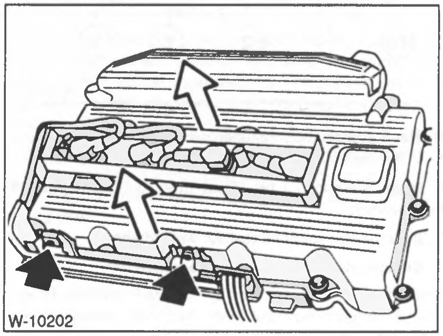 W-10204
