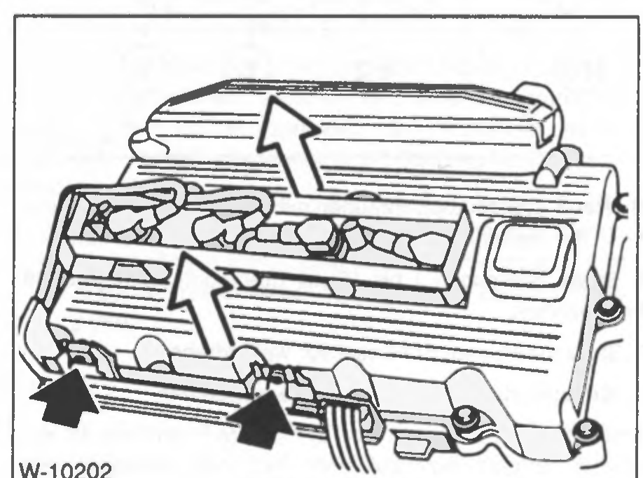 W-10202