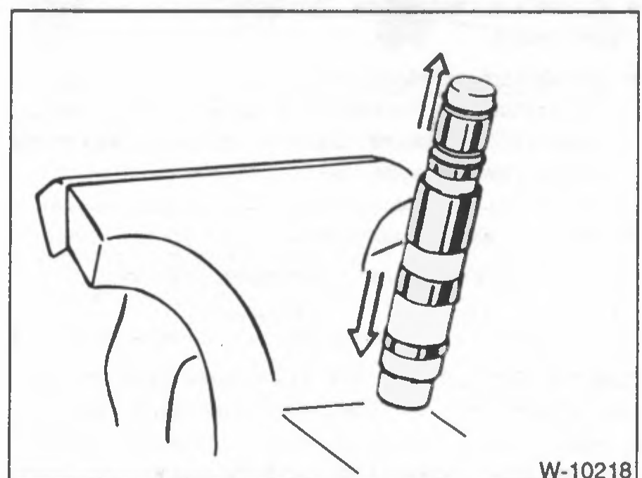 W-10218