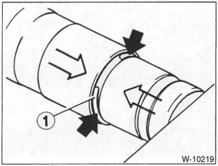 W-10219